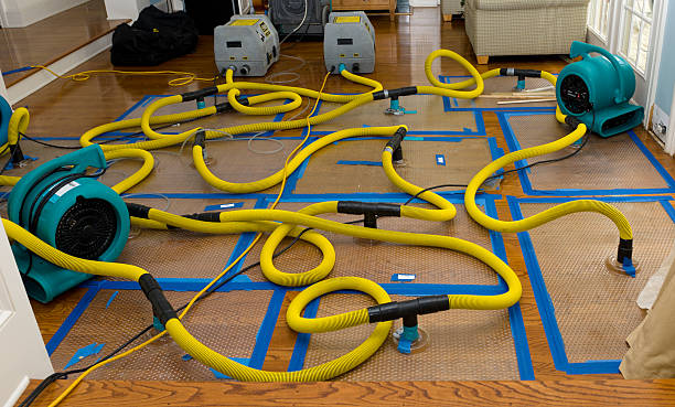 Professional Crawl Space Water Removal technician working in Cantonment, FL